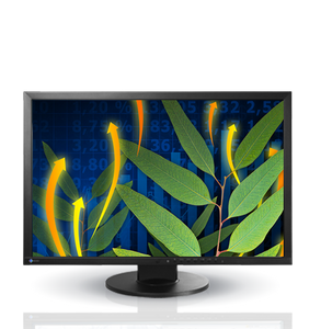 EIZO EV2436w / Klasa A-