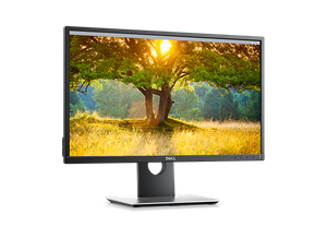 Dell P2417H / Klasa B