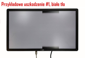 Monitor Poleasingowy Dell InfinityEdge U2417H / Klasa C (uszkodzony)