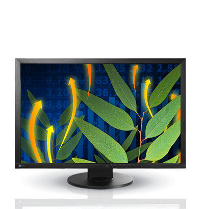 EIZO EV2436w / Klasa A-