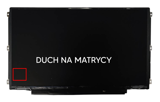 Matryca AU Optronics B116XW03 V.1 / 11,6'' HD (1366 x 768) / 40 pin LVDS / Klasa A-