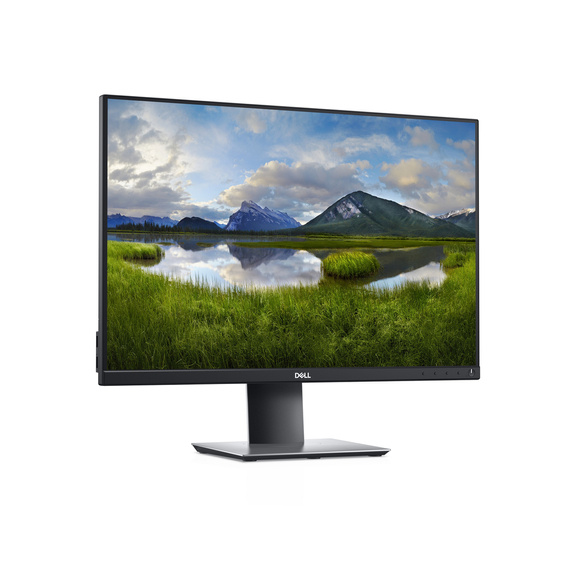 Monitor Dell P2421 / LED IPS / 24 cale / 1920 x 1200 / 5 ms / 1x DisplayPort / 1x HDMI  / 1x VGA / 2x USB 3.0